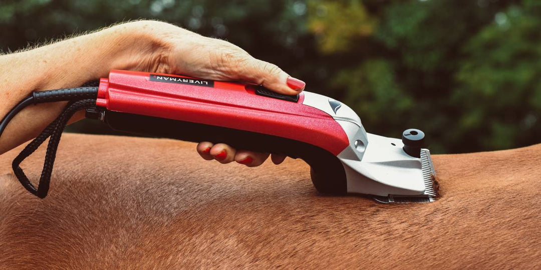 Clipping your horse - what you need to know