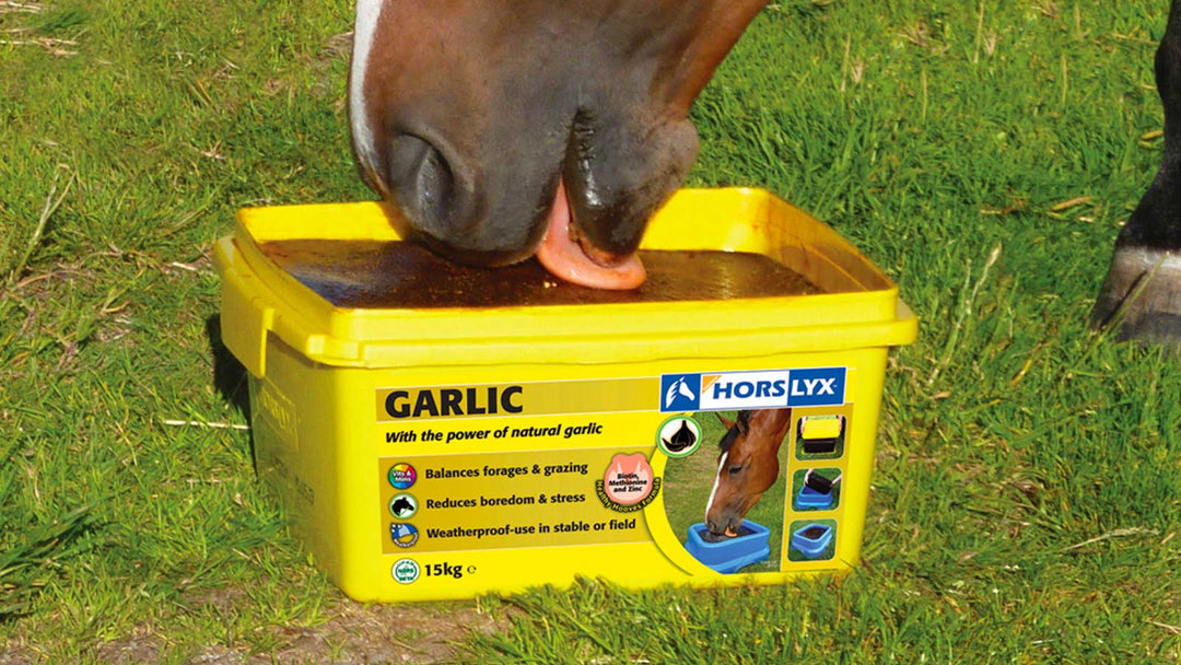 Horslyx Garlic, Let’s help protect our horses 24/7!
