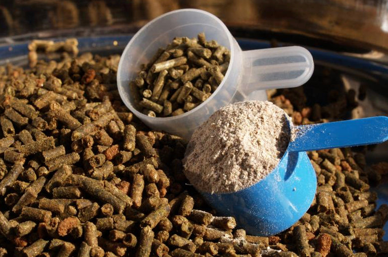 Horse feed supplements When and why are they needed? Millbry Hill