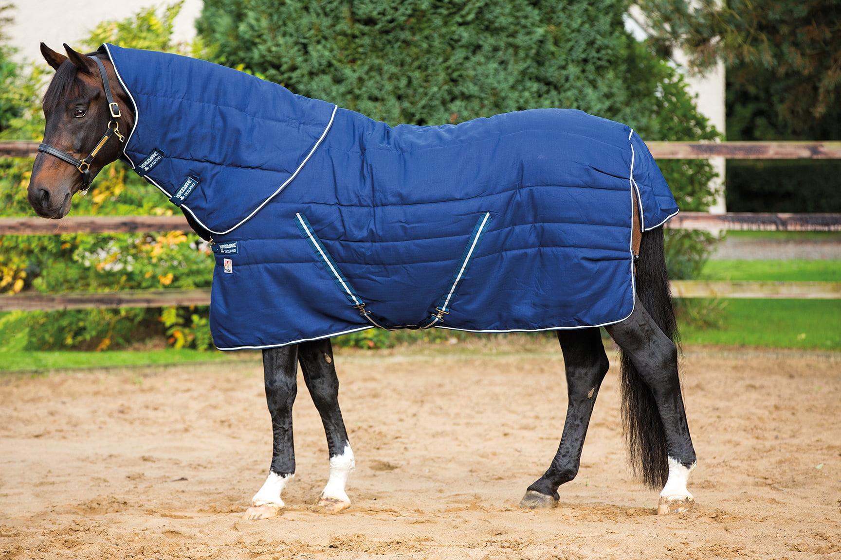 Horseware’s Guide to Choosing the Best Stable Rug for Your Horse Millbry Hill
