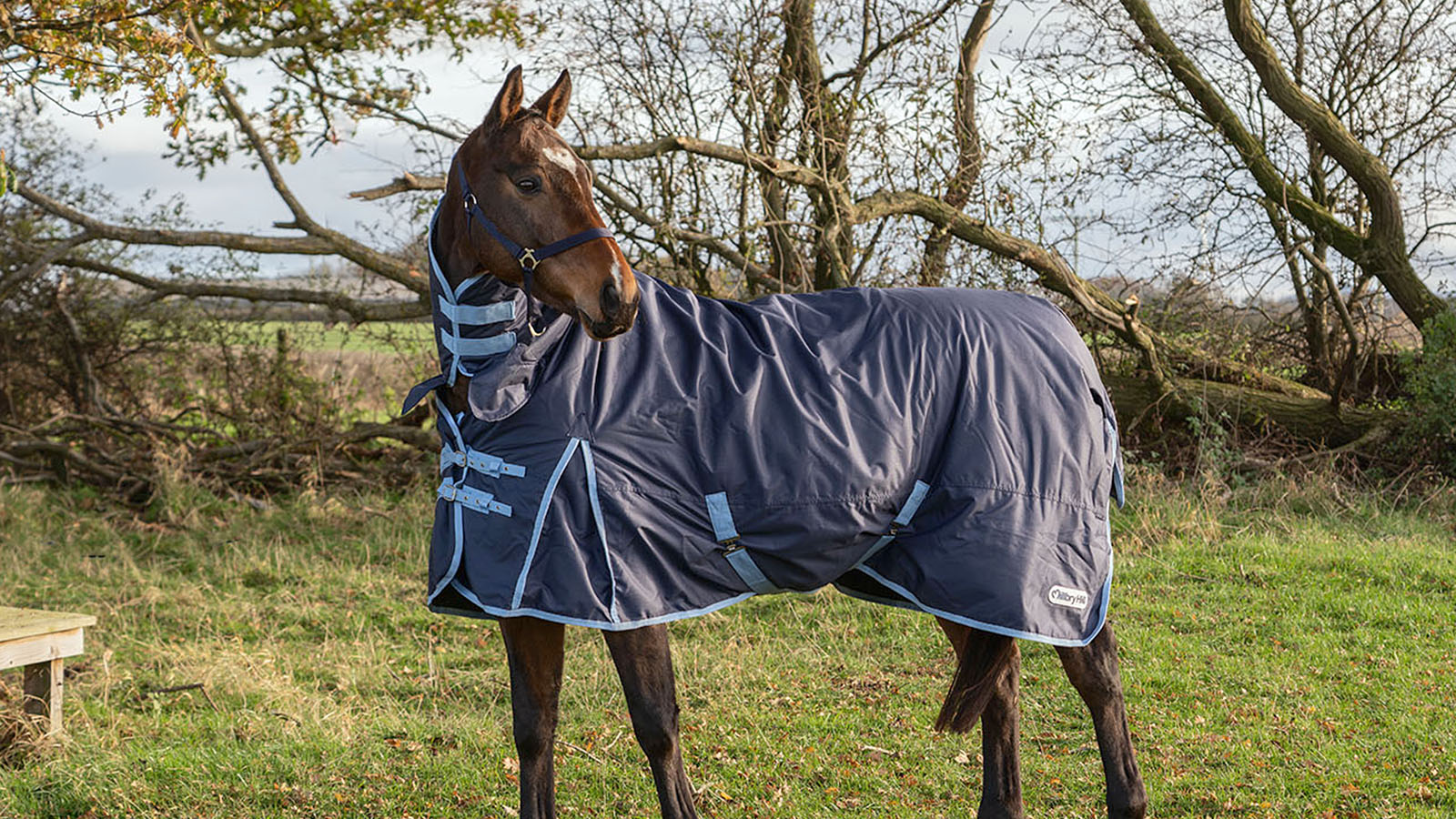 Weatherbeeta Turnout Rugs & Outdoor Horse Rugs Millbry Hill