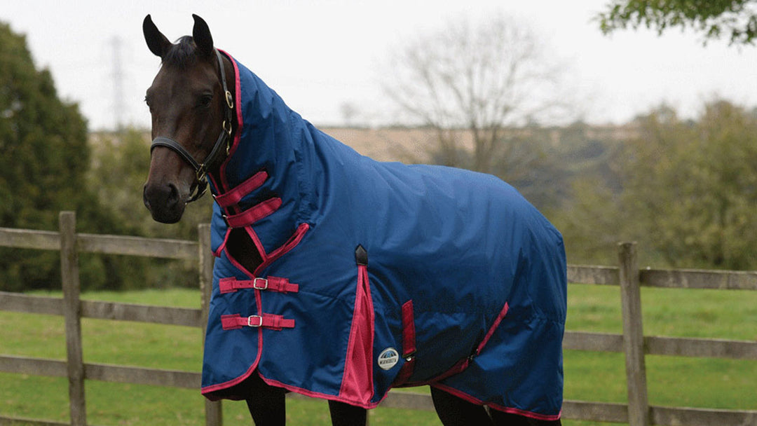 Horse wearing a Weatherbeeta rug