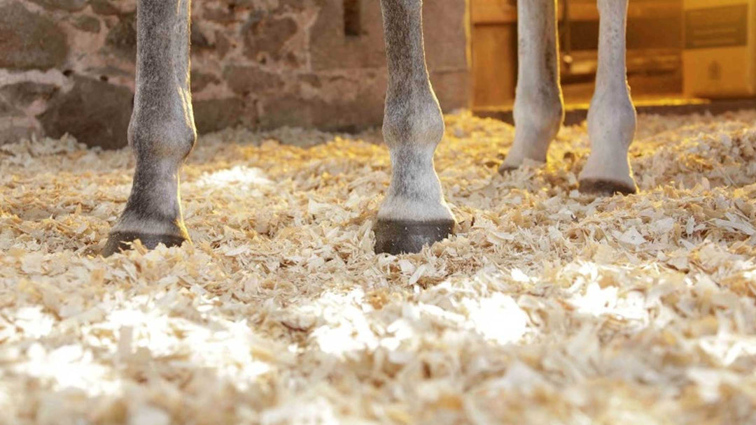 Shavings, Wood Pellets & Chopped Straw Horse Bedding