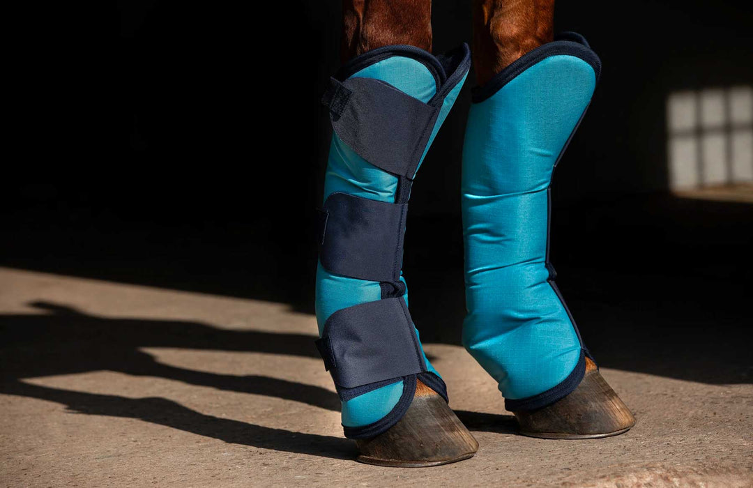 Travel Boots, Tail Guards & Horse Travel Accessories