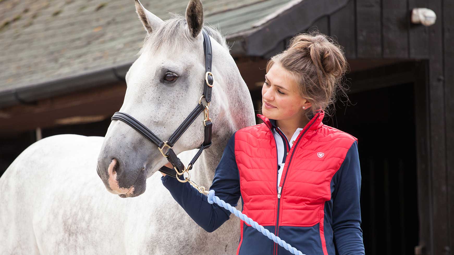 Horse Fly Veils & Ears