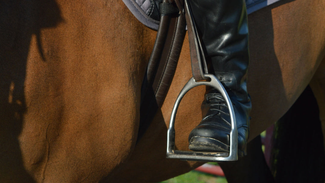 Stirrup Leathers & Irons