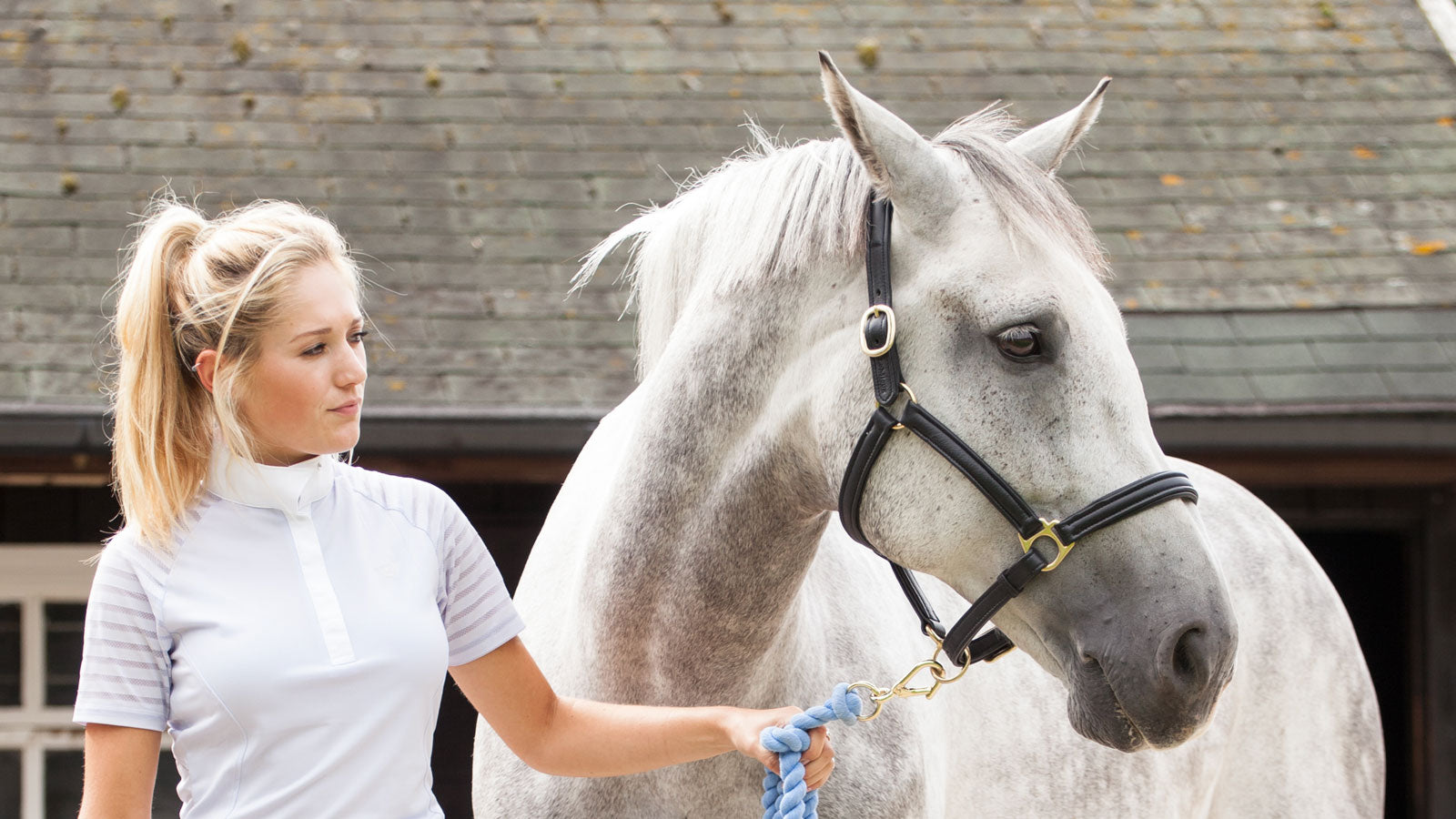 Horse Headcollars & Leadropes | Millbry Hill