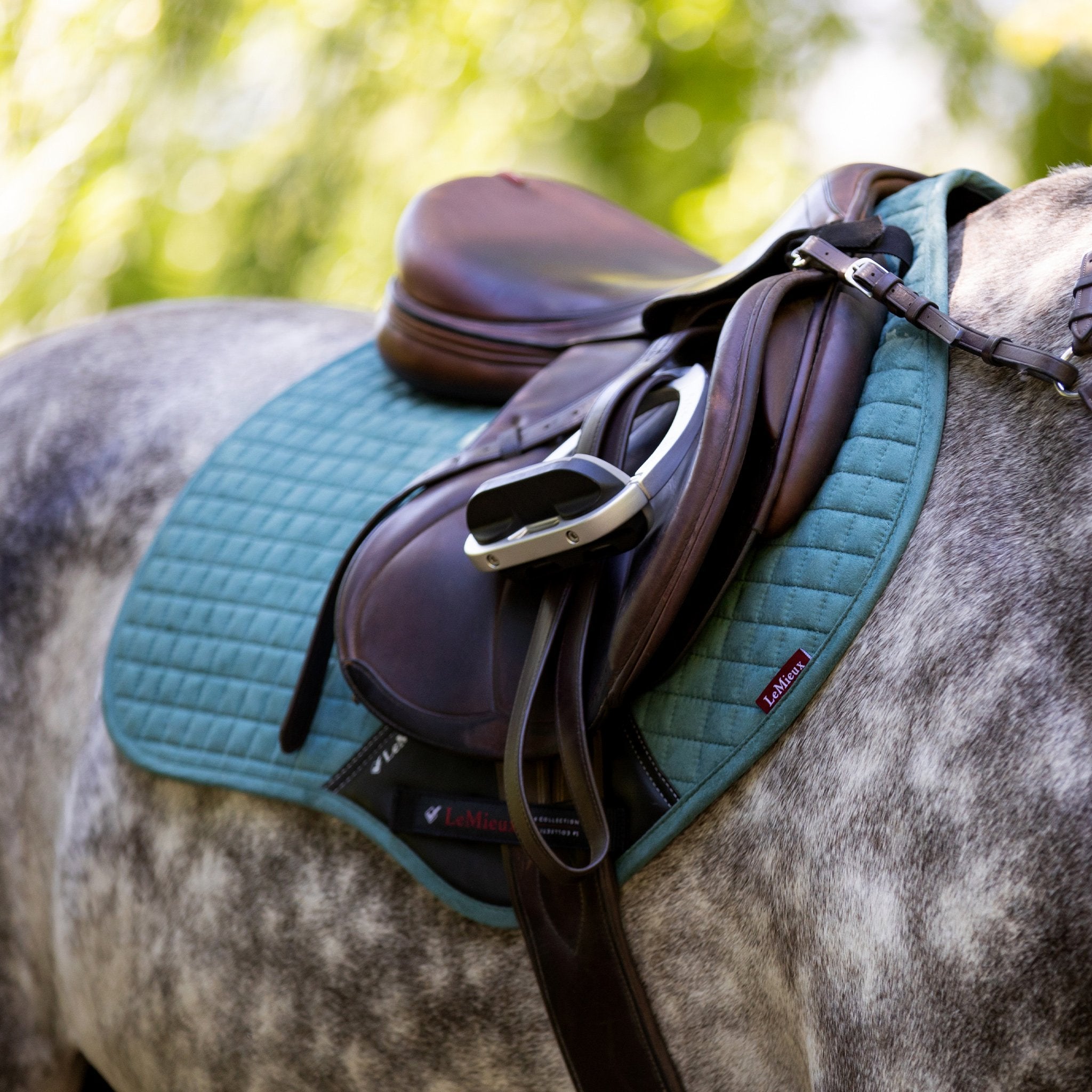 Le Mieux Mulberry Collection  Saddle pads, Equestrian outfits, Close  contact saddle