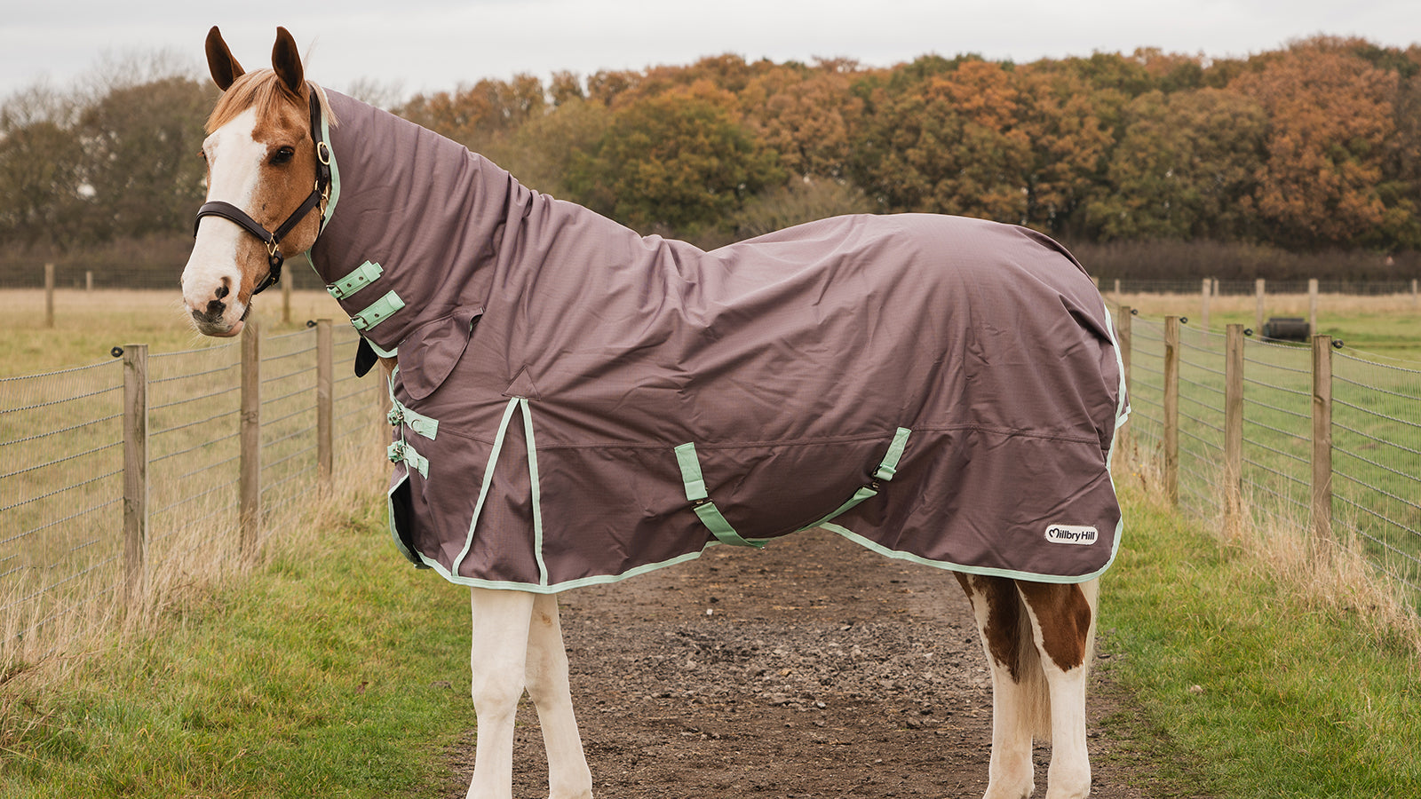 Horse Rugs