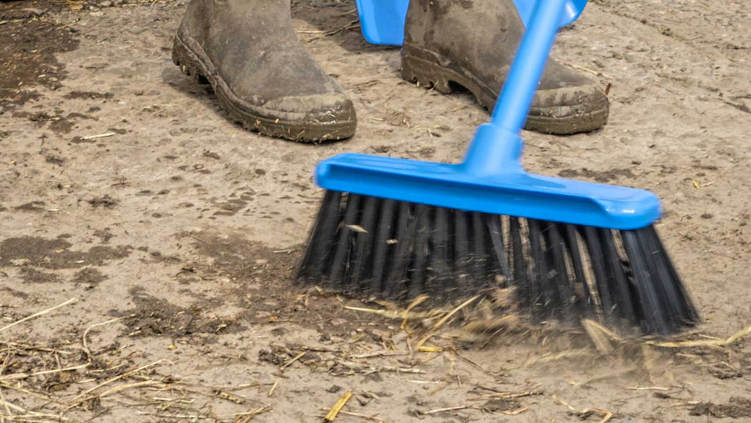 A Blue Yard Broom