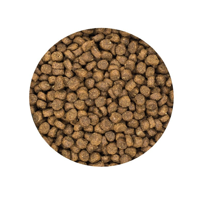 Burns Senior + Chicken & Rice Toy Small Breed Dry Dog Food
