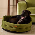 Joules Velvet Chesterfield Dog Bed