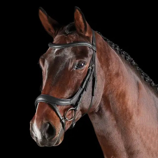 Collegiate Comfitec Vouge Anatomical Bridle