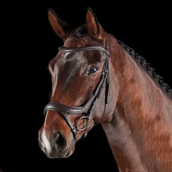 Collegiate Comfitec Vouge Anatomical Bridle