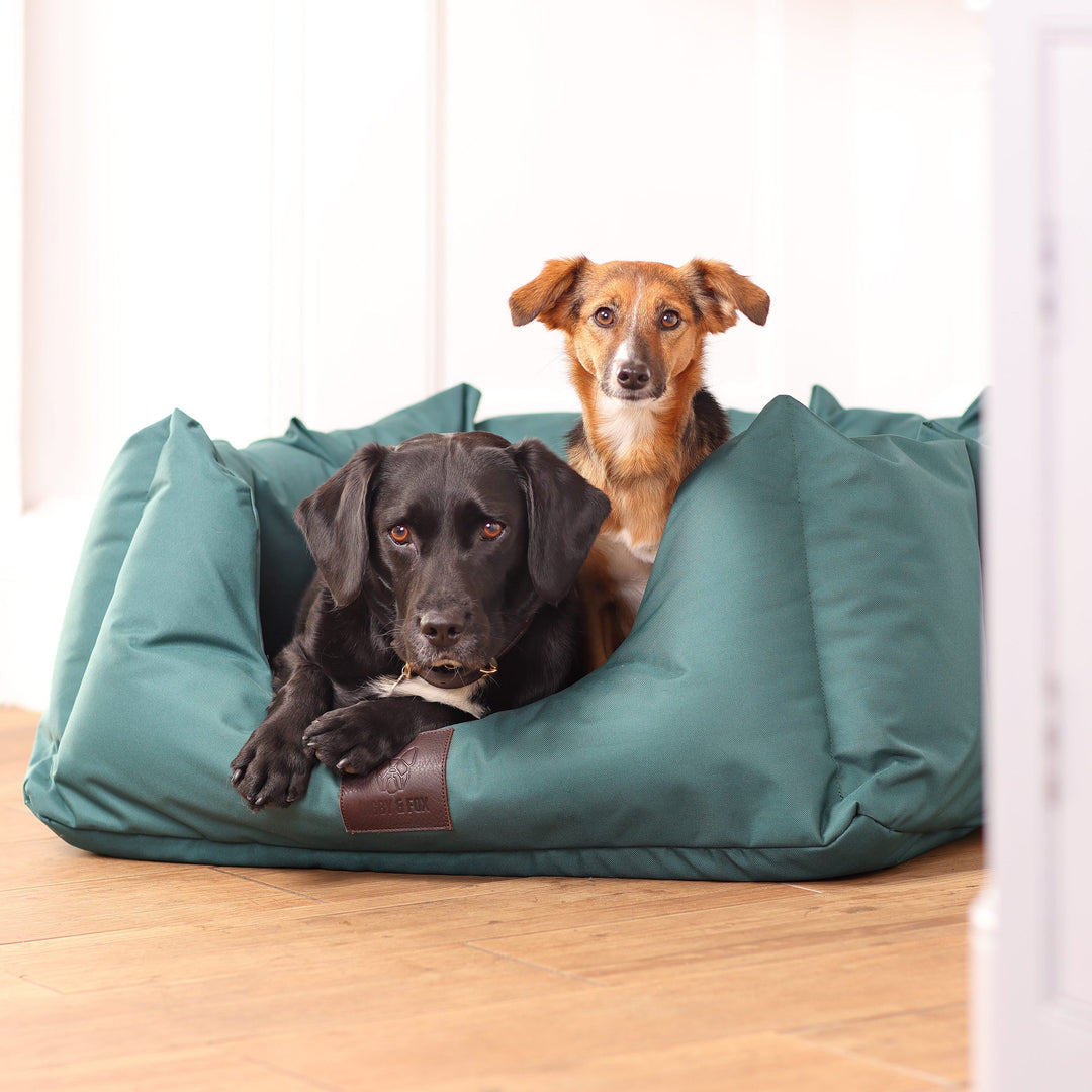 Digby & Fox Nest Dog Bed