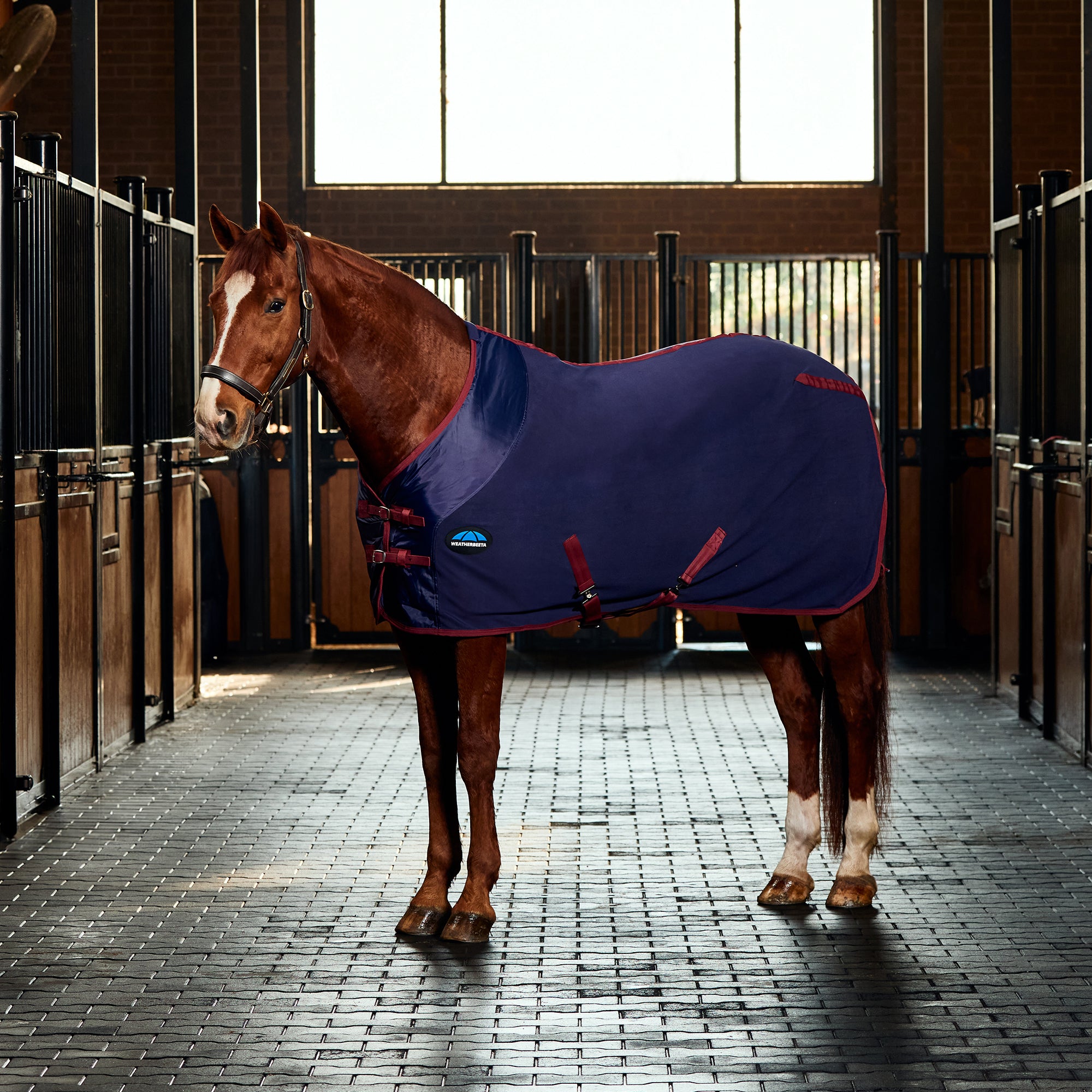 Couverture Cheval WeatherBeeta ComFiTec Anti-démangeaisons - Col Combiné Blanc/bleu, Taille 6' (72)