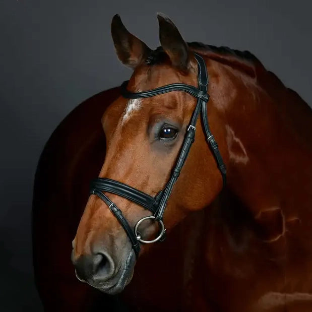 Collegiate Comfitec Opulux Plain Padded Flash Bridle