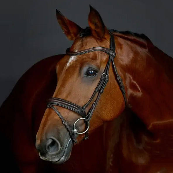 Collegiate Comfitec Opulux Plain Padded Flash Bridle