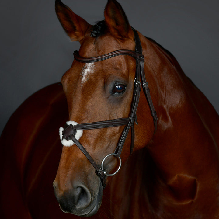 Collegiate Comfitec Opulux Plain Padded Grackle Bridle#Dark Brown