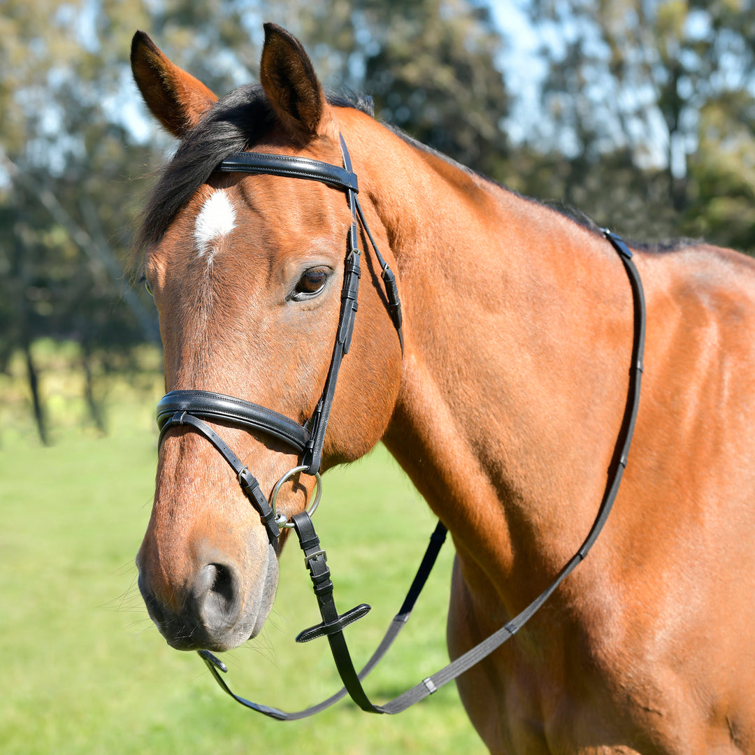 Kincade Classic Plain Raised Flash Bridle With Reins