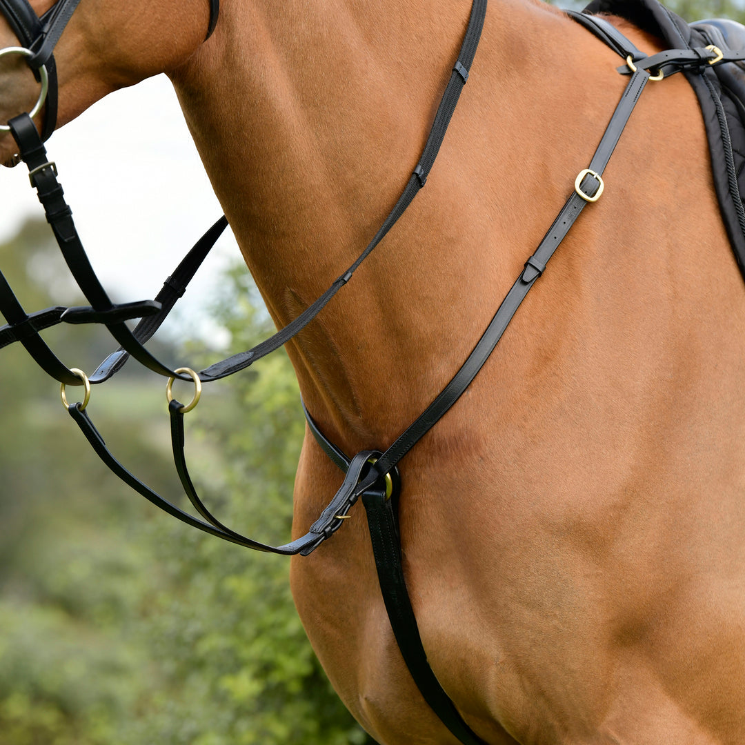 Kincade Classic 3 Point Breastplate with Running Martingale#Black