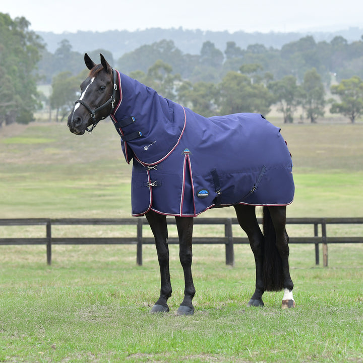 Weatherbeeta Comfitec Essential 50g Detach-A-Neck Turnout