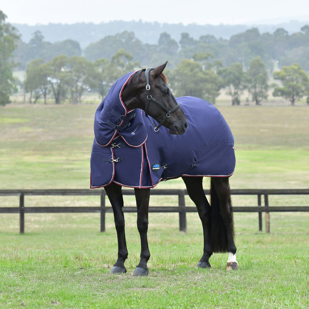 Weatherbeeta Comfitec Essential 50g Detach-A-Neck Turnout