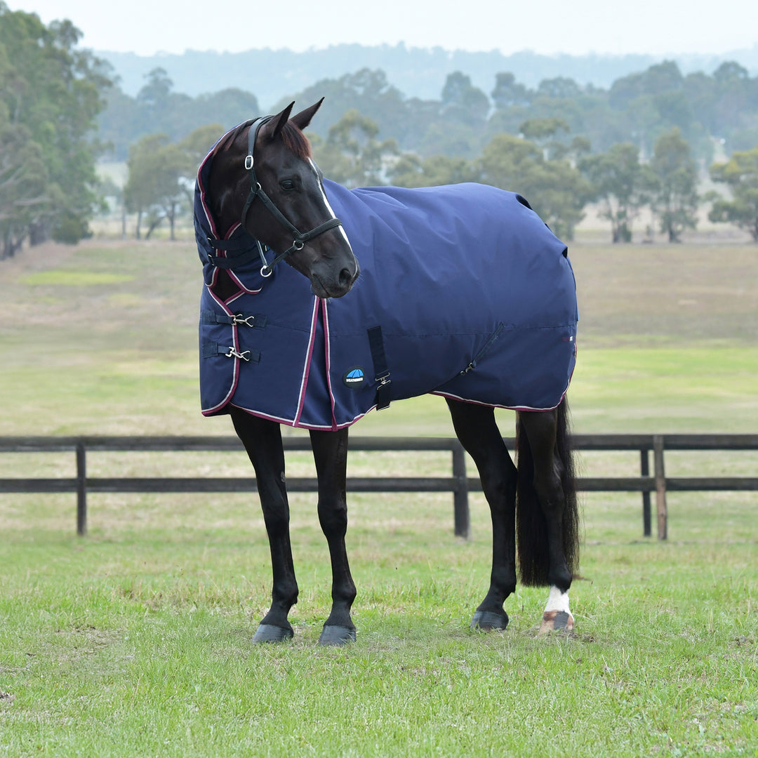 Weatherbeeta Comfitec Essential 360g Turnout Combo