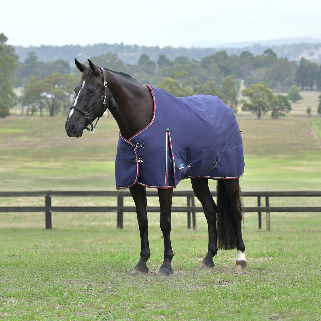 Weatherbeeta Comfitec Essential 50g Standard Turnout