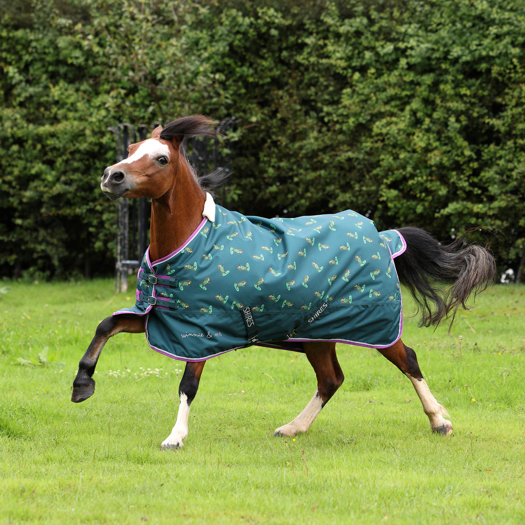 Winnie & Me 100g Standard Turnout Rug