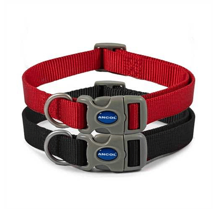 The Ancol Viva Quick Fit Dog Collar in Black#Black