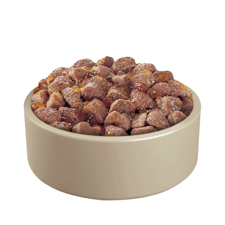 Pedigree Senior Pouch in Jelly