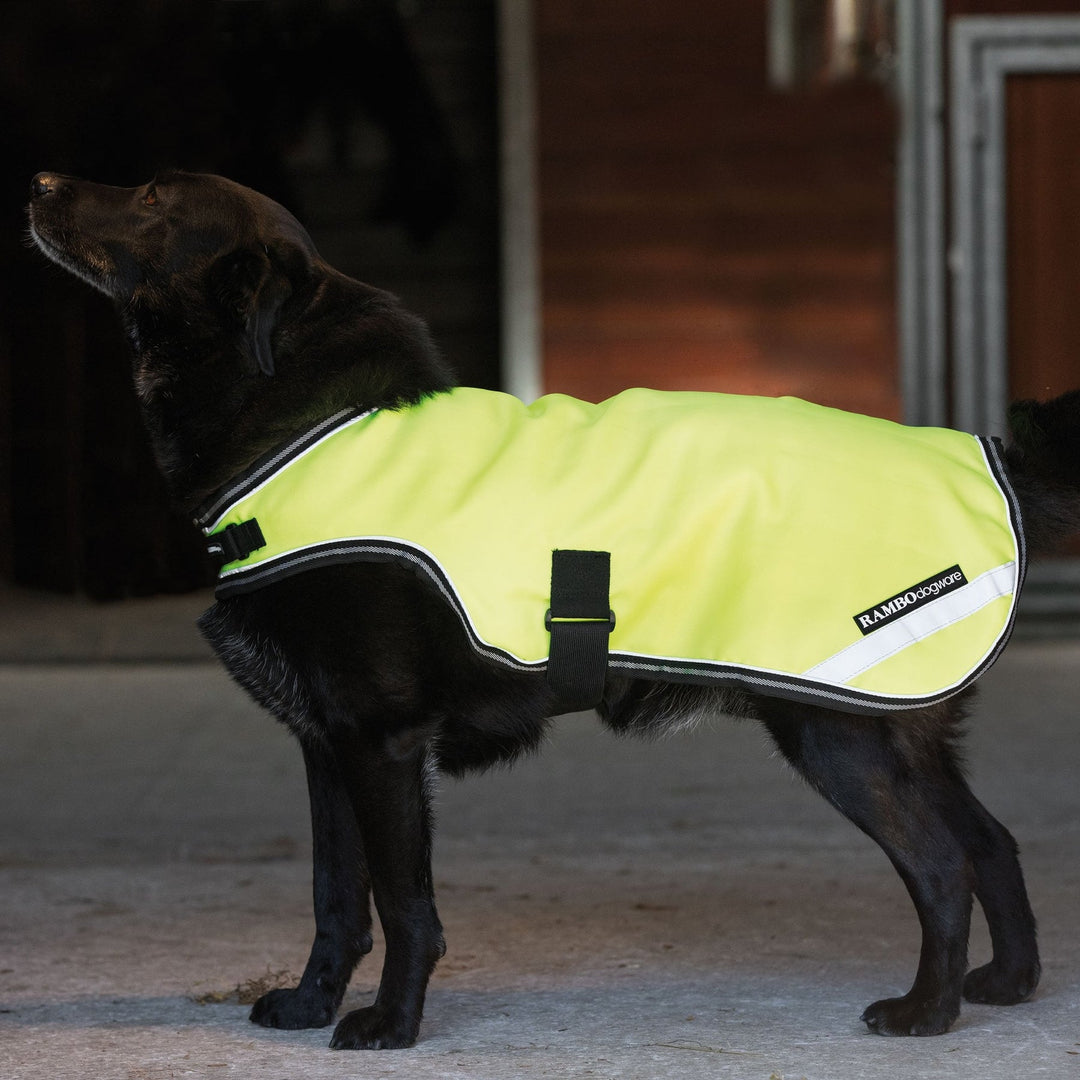 The Rambo Reflective Dog Rug in Yellow#Yellow