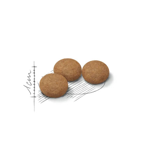 Royal Canin Sterilised Ageing 12+ Mature Cat Dry Food