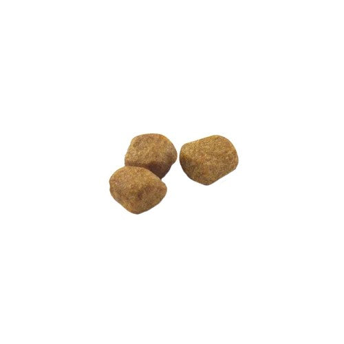 Royal Canin Indoor 7+ Complete Dry Cat Food