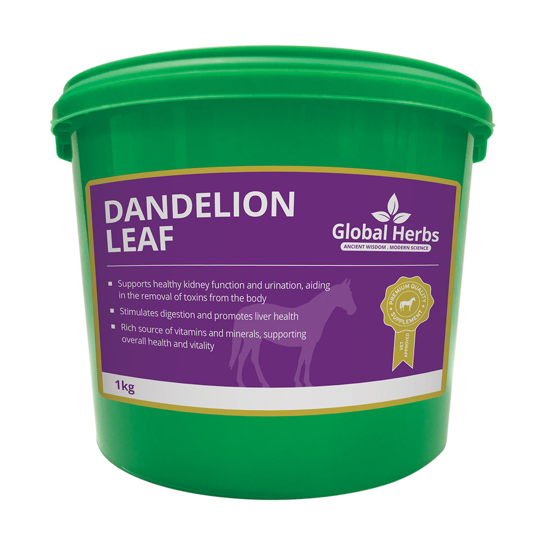 Global Herbs Dandelion Leaf