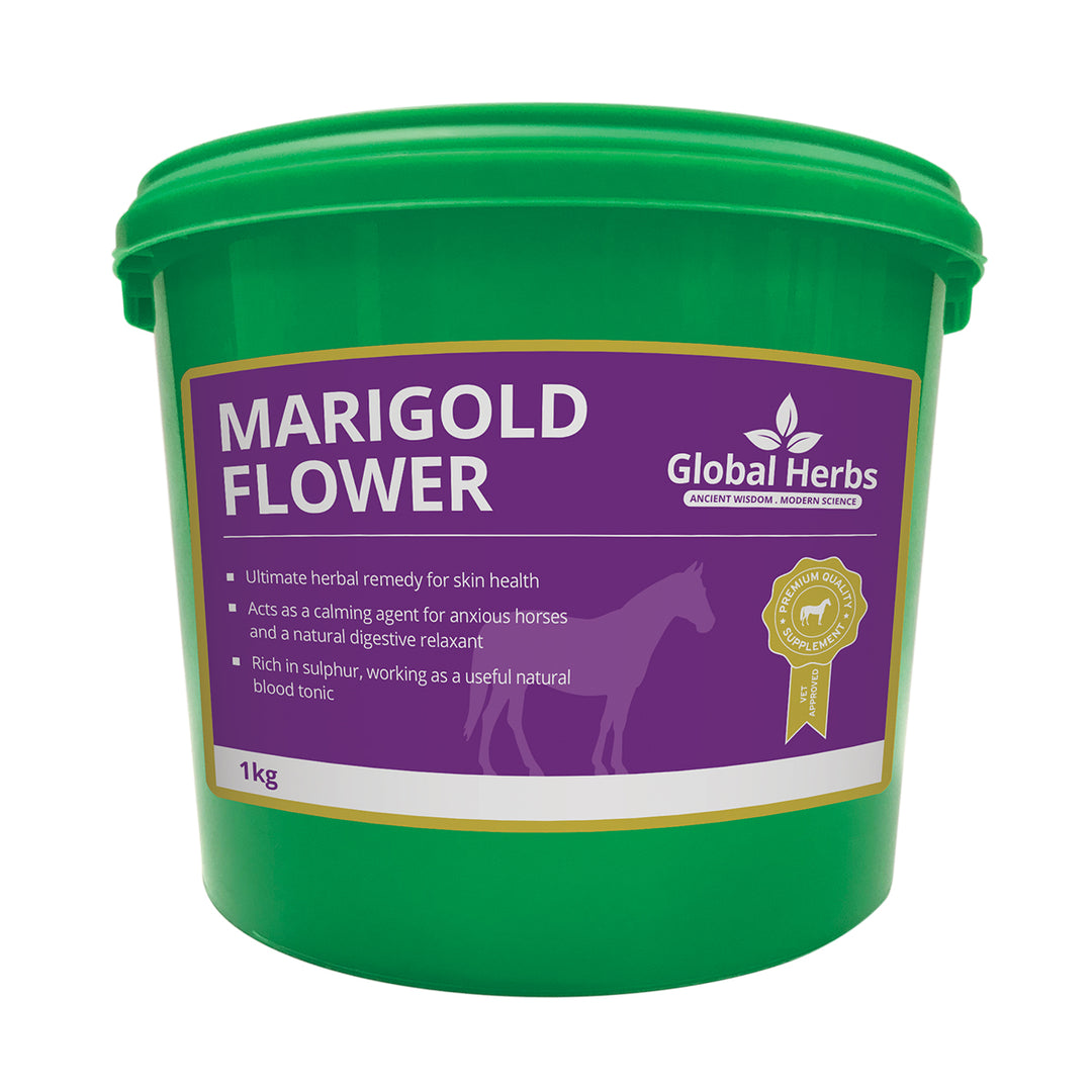 Global Herbs Marigold Flower