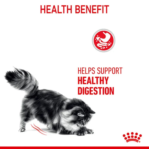 Royal Canin Digestive Care Complete Dry Cat Food