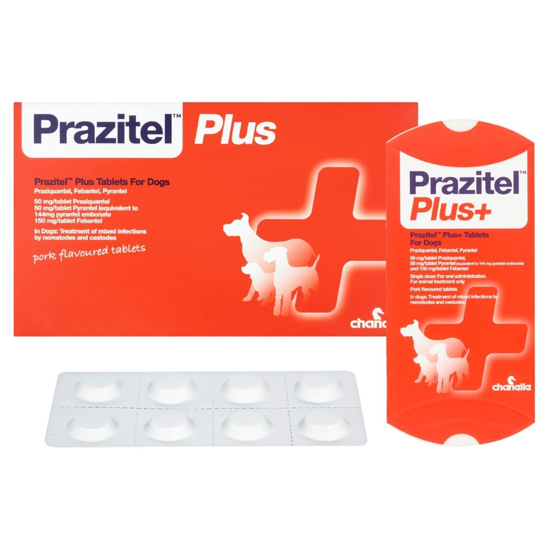 Prazitel Plus+ Dog Wormer