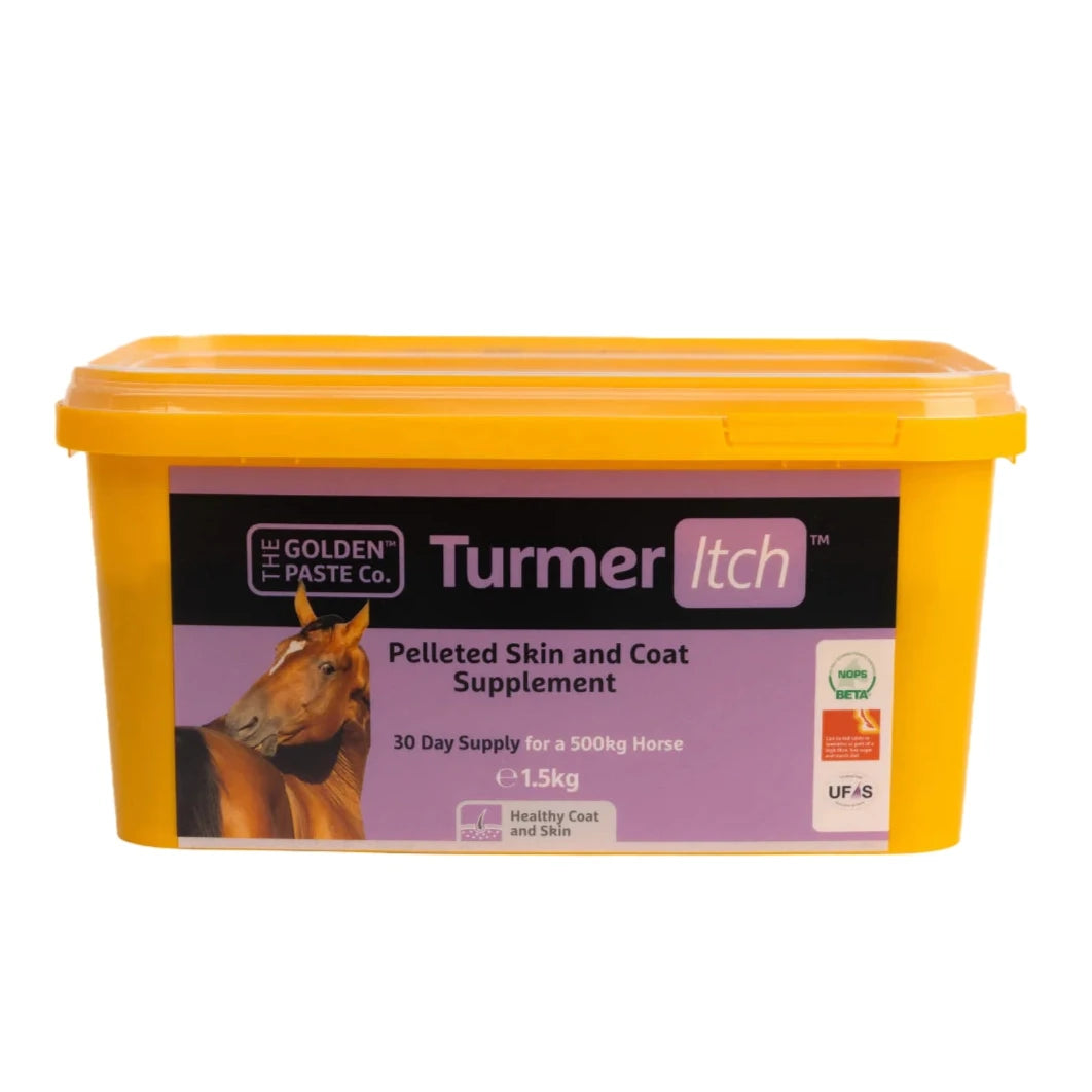 The Golden Paste Company TurmerItch