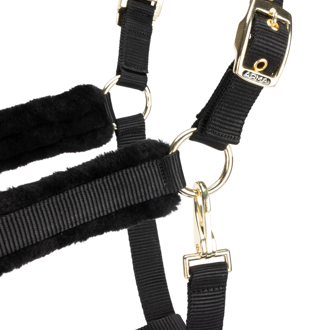 ARMA Logo Headcollar & Lead Rope