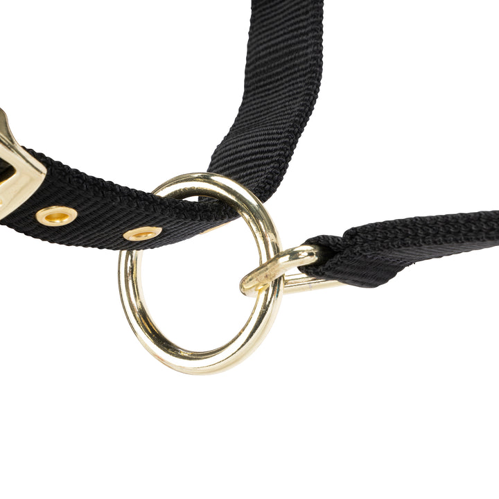 ARMA Logo Headcollar & Lead Rope