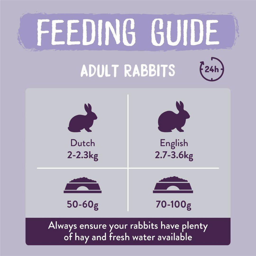 Excel Indoor Rabbit Nuggets
