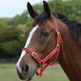 Roma Headcollar & Lead Set