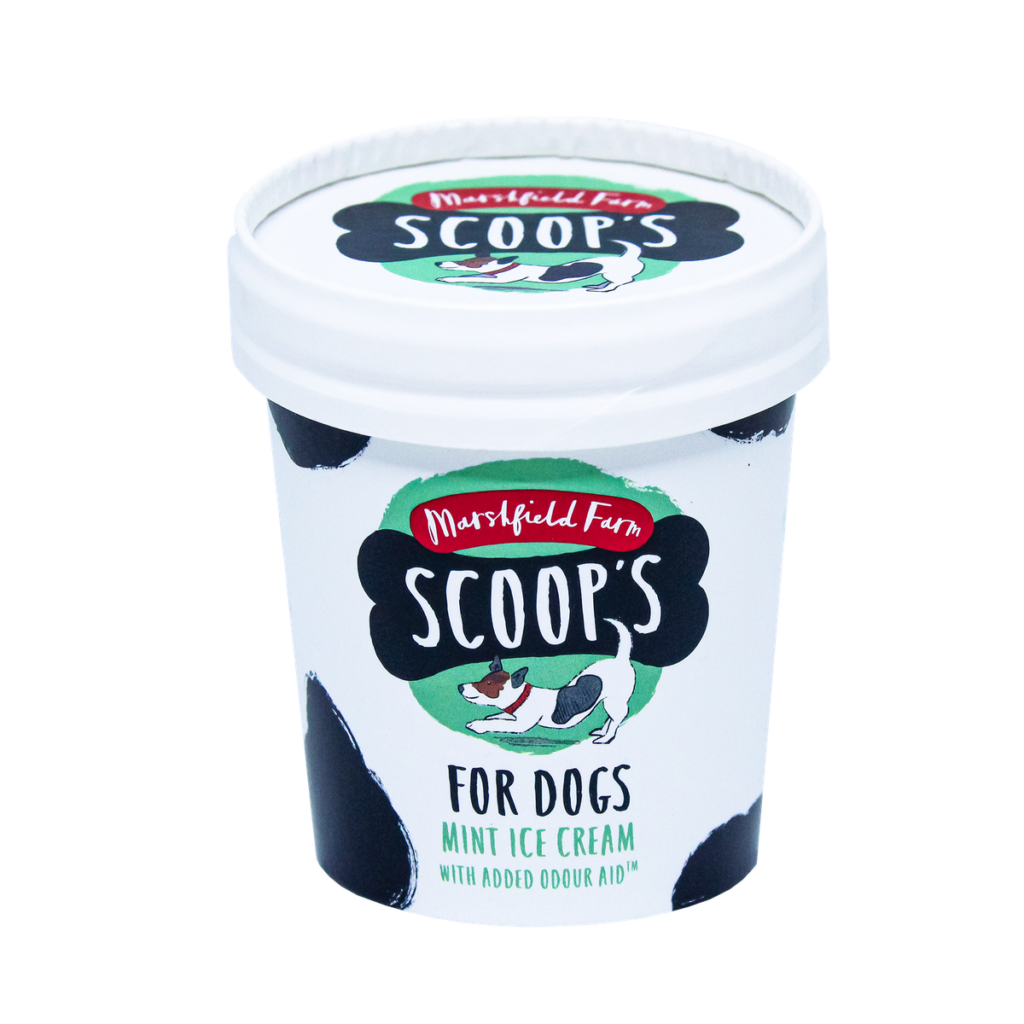 Marshfields Dog Icecream - Mint