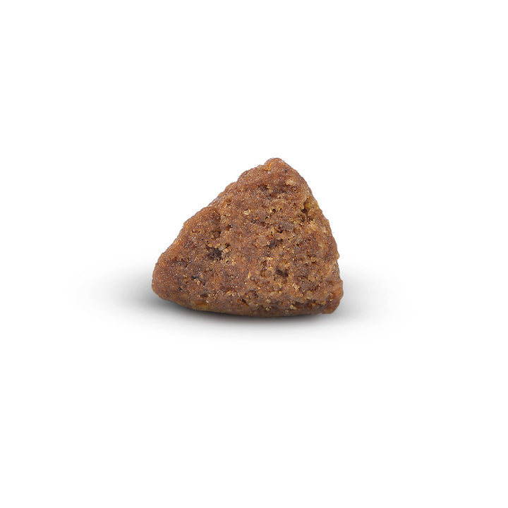 Arden Grange Mini Adult with Lamb & Rice