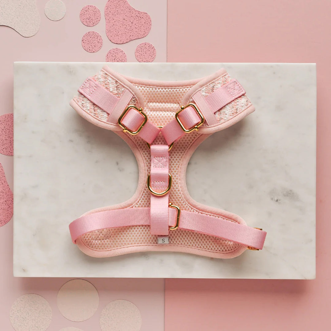 Cocopup Dog Pink Textured Tweed Harness