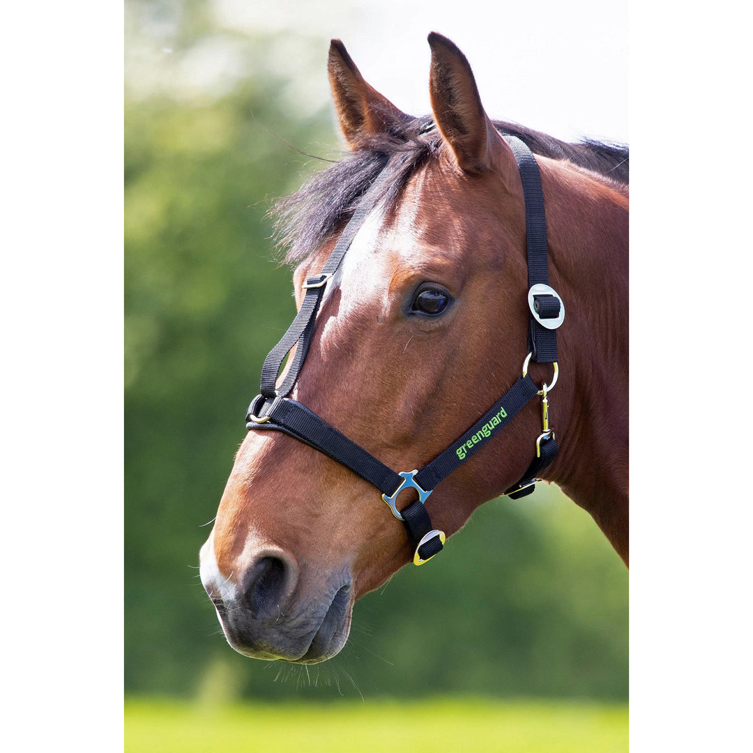 Shires Greenguard Headcollar