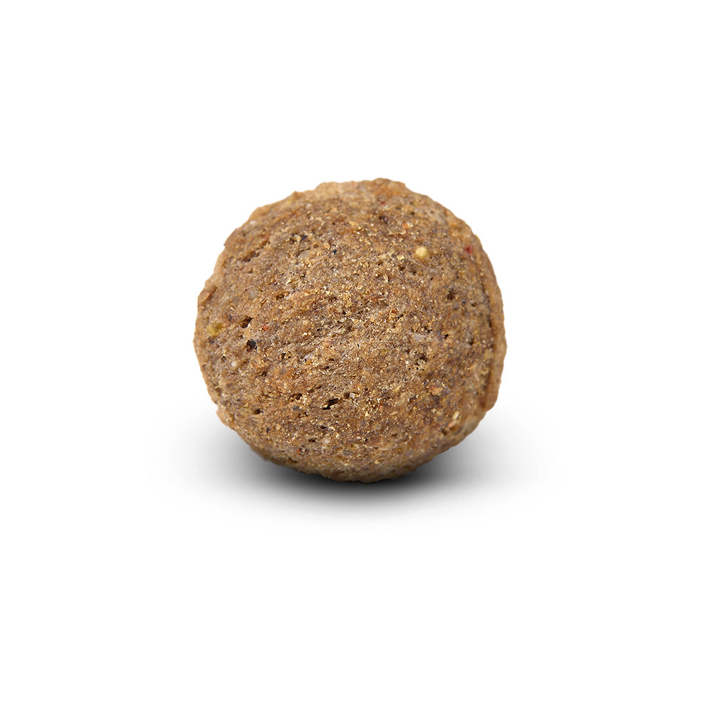 Arden Grange Large Breed Adult with Chicken & Rice