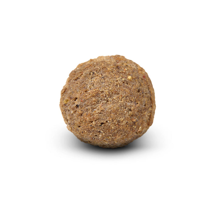 Arden Grange Large Breed Adult with Chicken & Rice